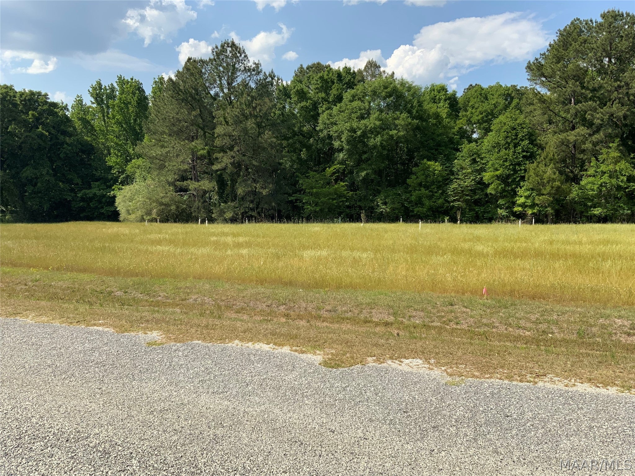 0 County Road Tuskegee, AL 36083 - Photo 3 of 13 Gallery Image 3