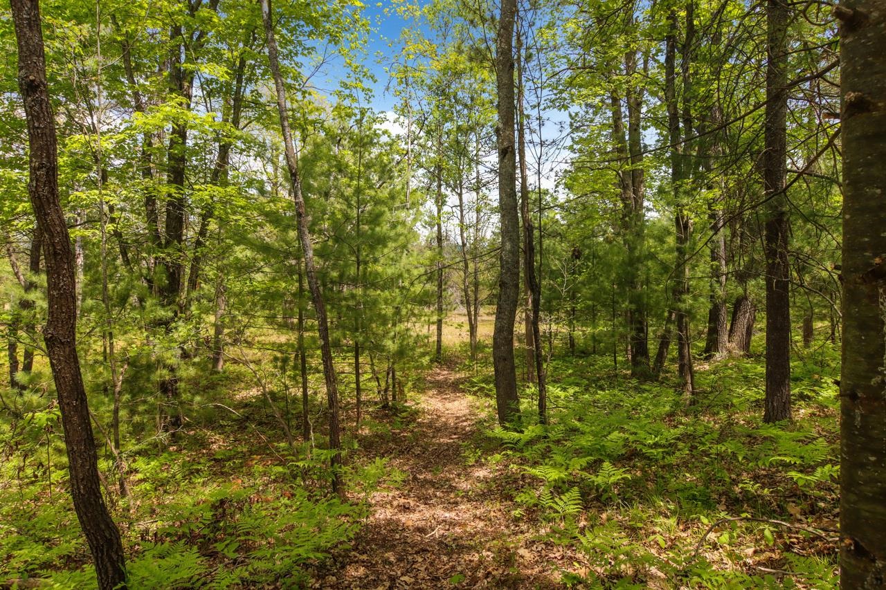 0 Brown Bridge Road Traverse City, MI 49696 - Photo 23 of 25