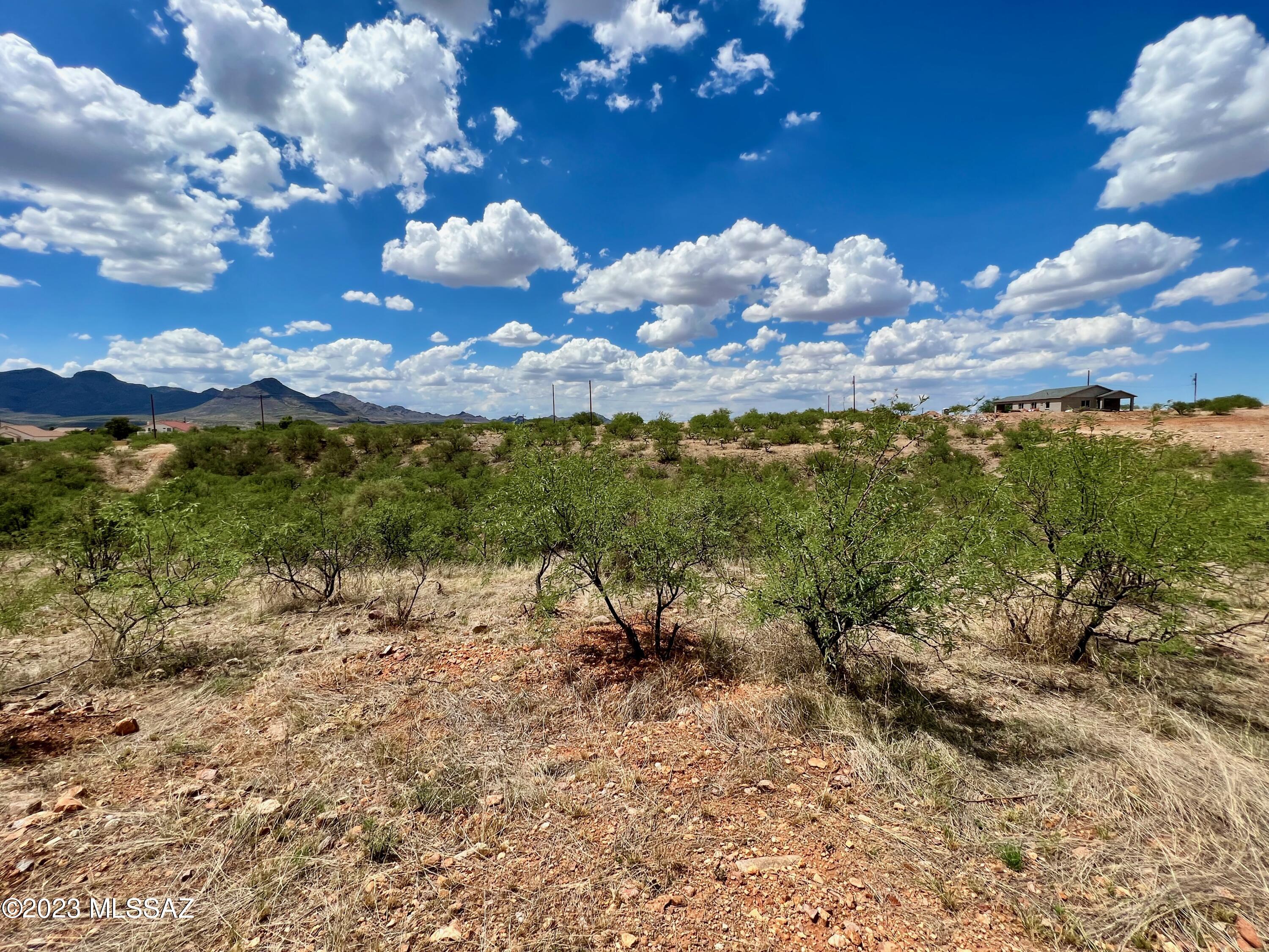 1199 Circulo Golfo, Unit 64 Rio Rico, AZ 85648 - Photo 21 of 29 a view of a yard with an outdoor space