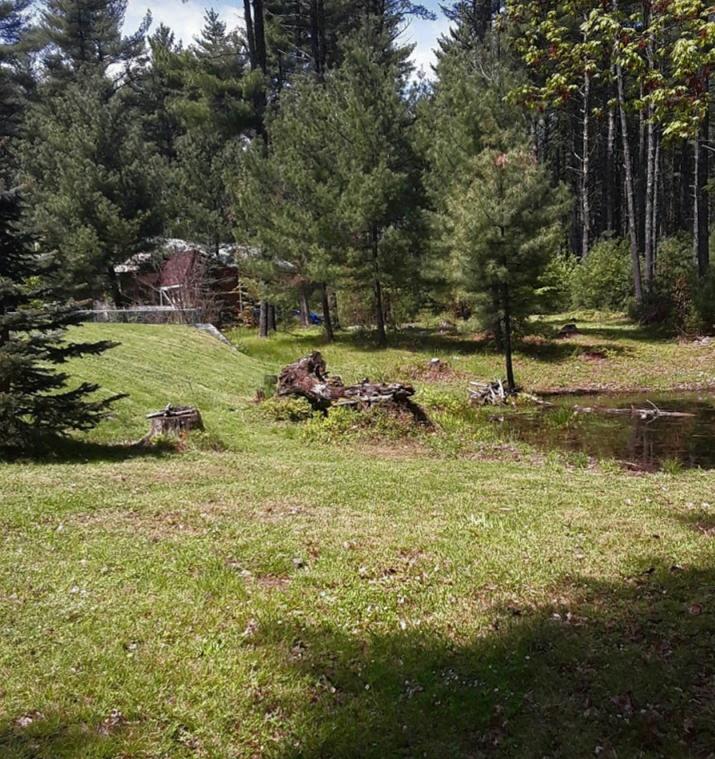 1274 Cape Road Hollis Center, ME 04042 - Photo 10 of 81 10 - house yard pic20200505_130001