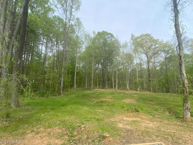 140 Overbrook Road Salisbury, NC 28147 - Photo 23 of 27 Acreage to left of House