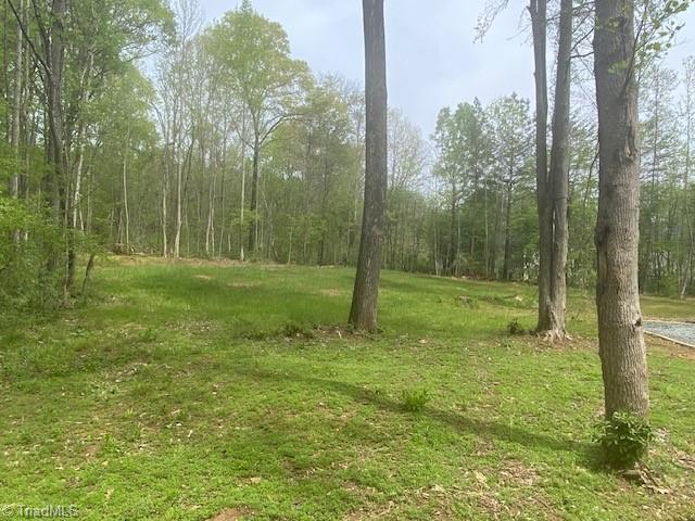 140 Overbrook Road Salisbury, NC 28147 - Photo 24 of 27 Acreage to Left of Drive