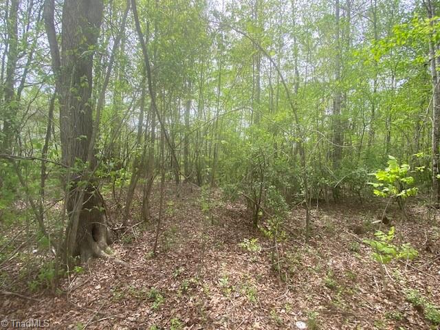 140 Overbrook Road Salisbury, NC 28147 - Photo 25 of 27 Acreage to Right of House