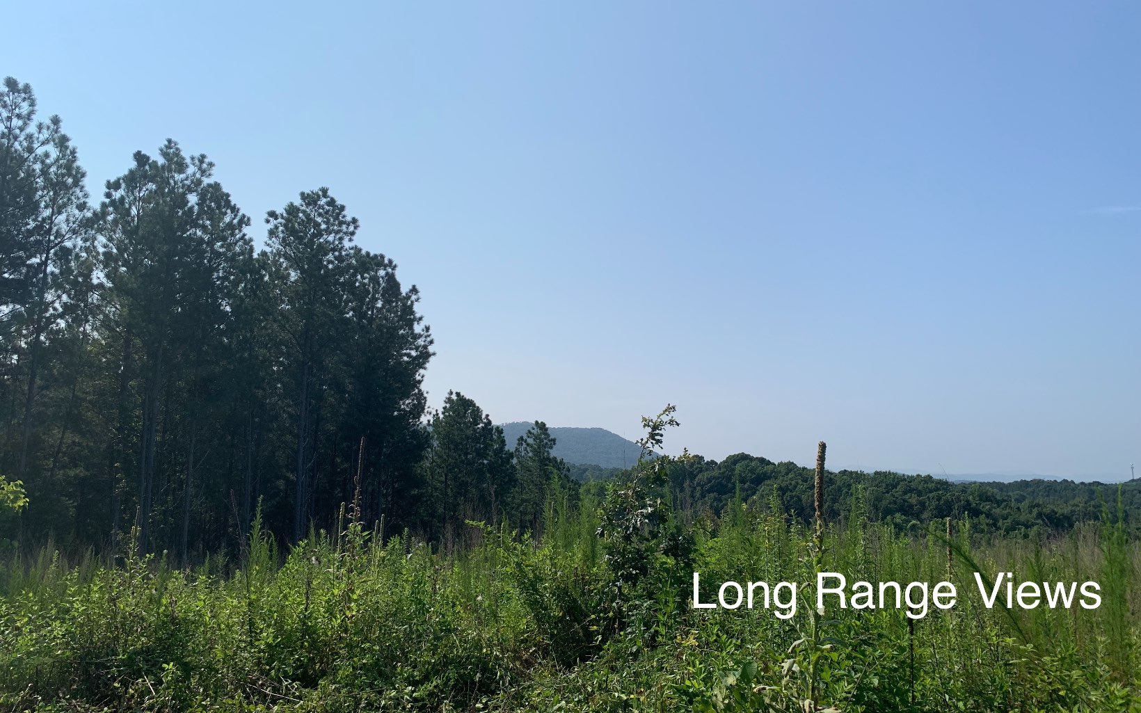 10 Acres Red Bud Road Ranger, GA 30734 - Photo 2 of 4 Additional View