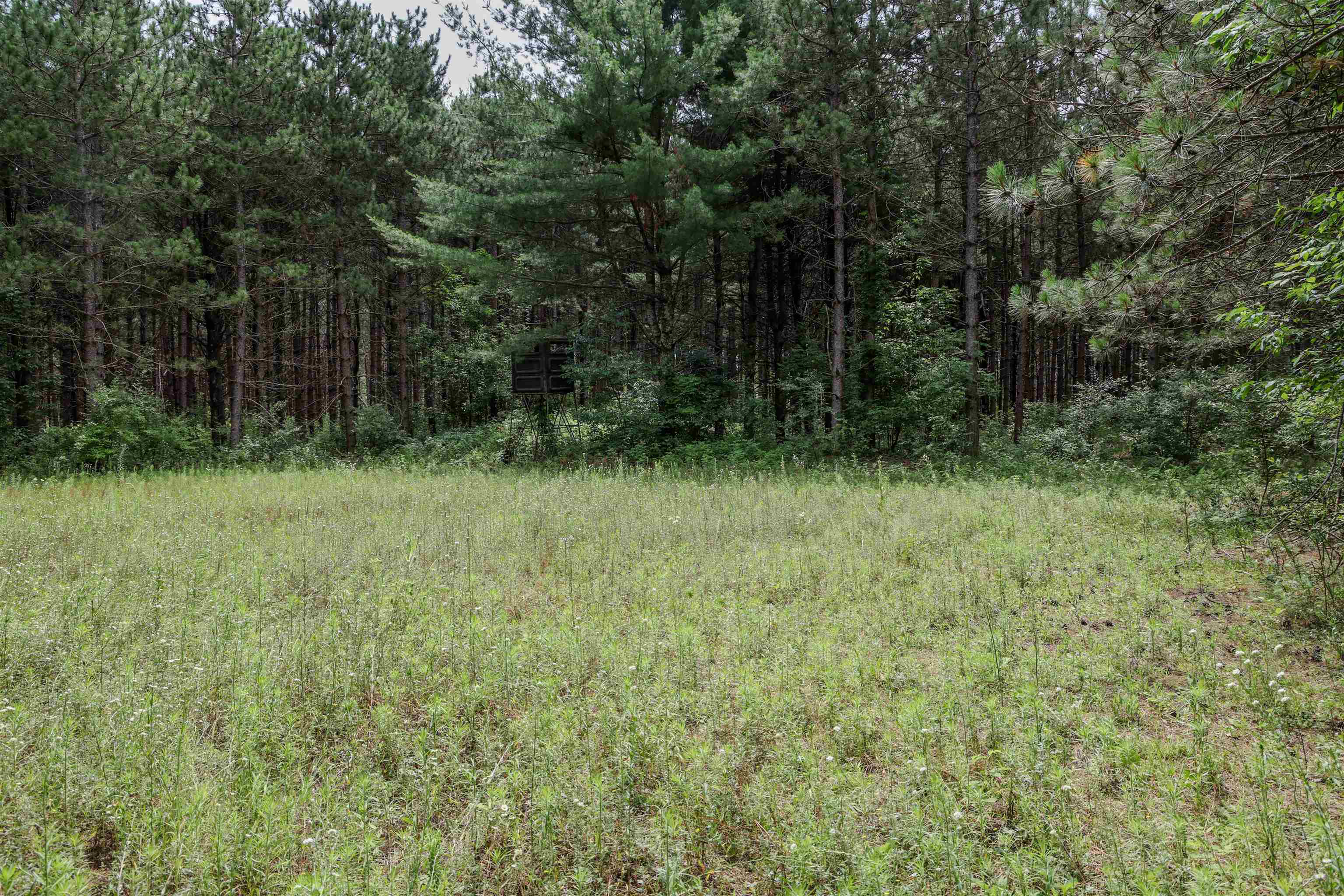 Boelter Road Iola, WI 54945 - Photo 5 of 18