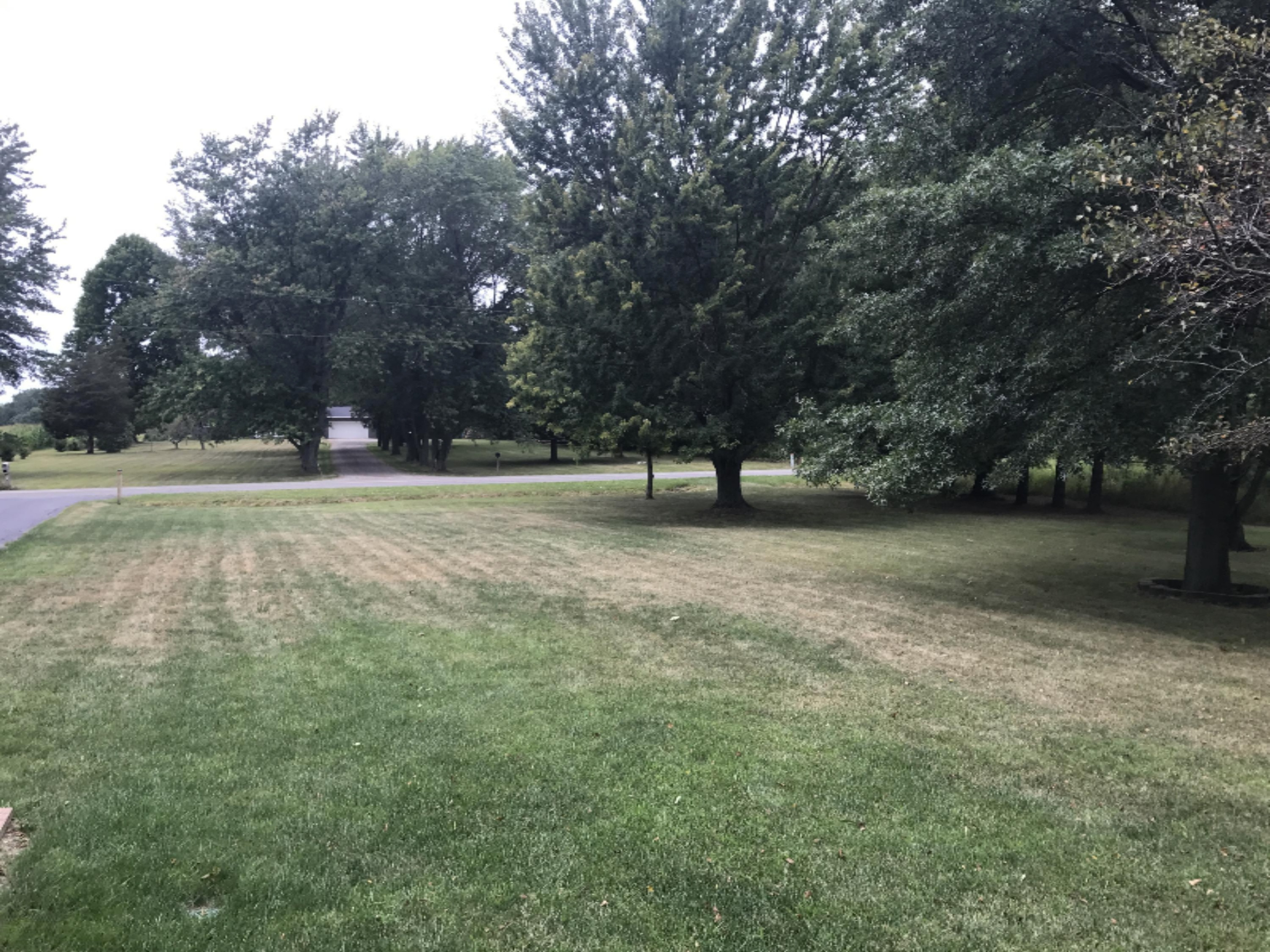 9287 Garr Road Berrien Springs, MI 49103 - Photo 48 of 71 2017-08-18 12.05.55-1