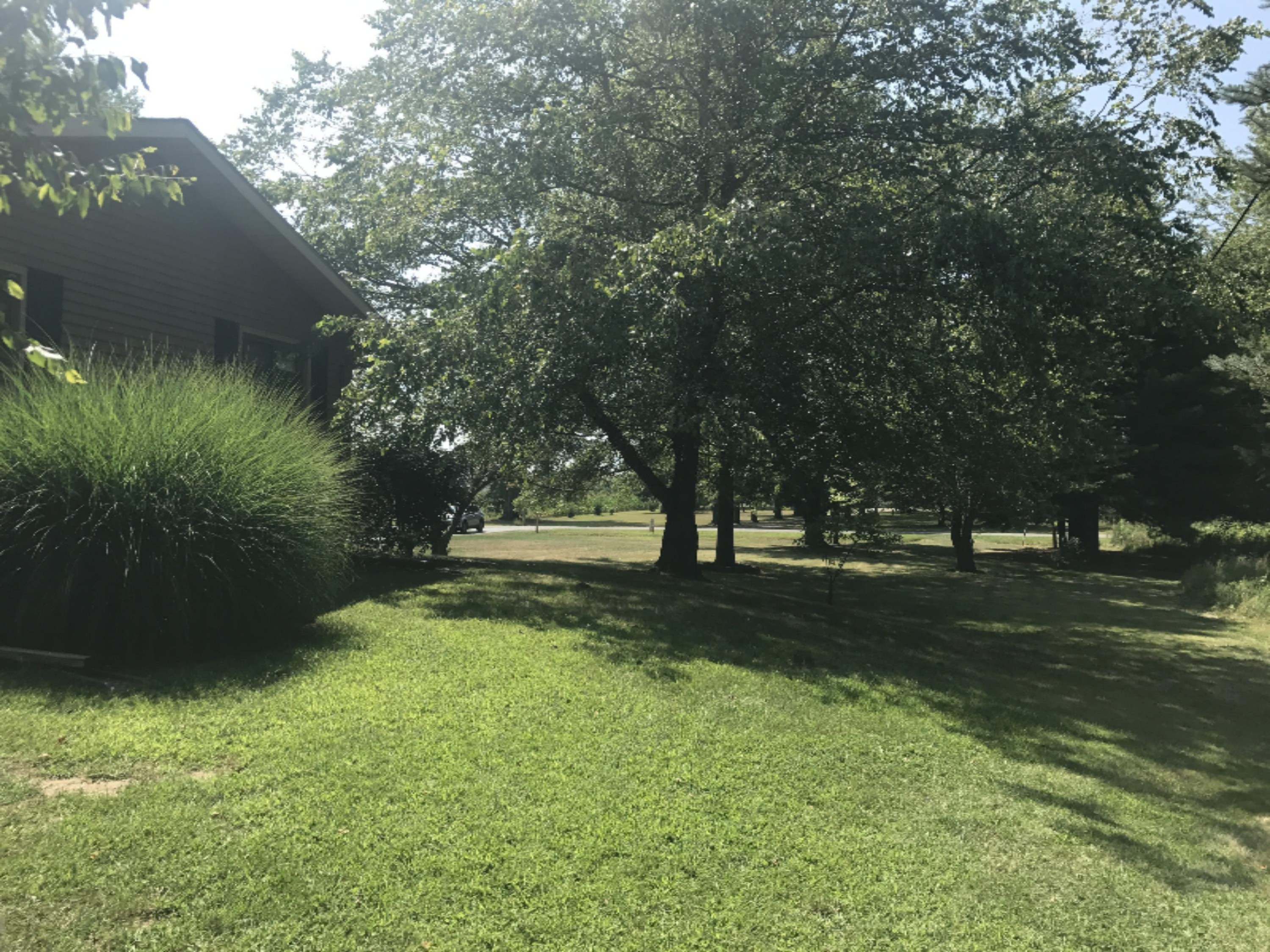 9287 Garr Road Berrien Springs, MI 49103 - Photo 59 of 71 2017-08-19 15.15.35-1