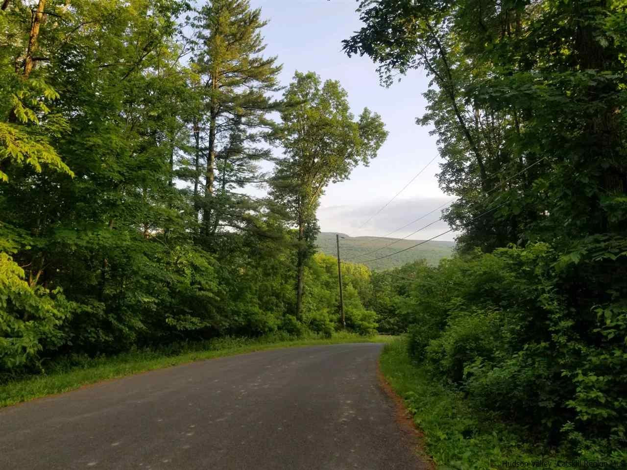 Tbd Turkey Hill Road Kerhonkson, NY 12446 - Photo 17 of 31 Photo 17