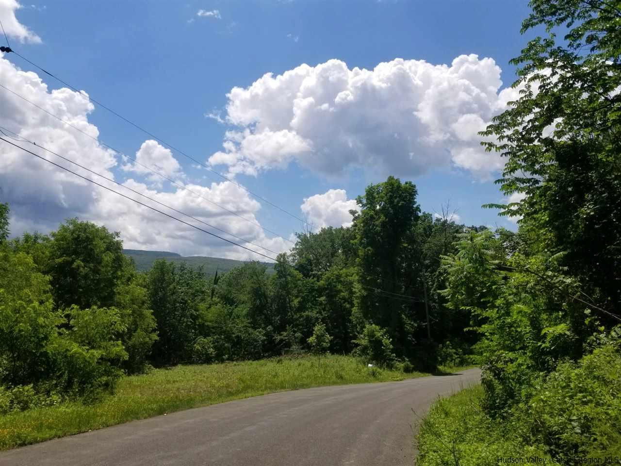 Tbd Turkey Hill Road Kerhonkson, NY 12446 - Photo 19 of 31 Photo 19