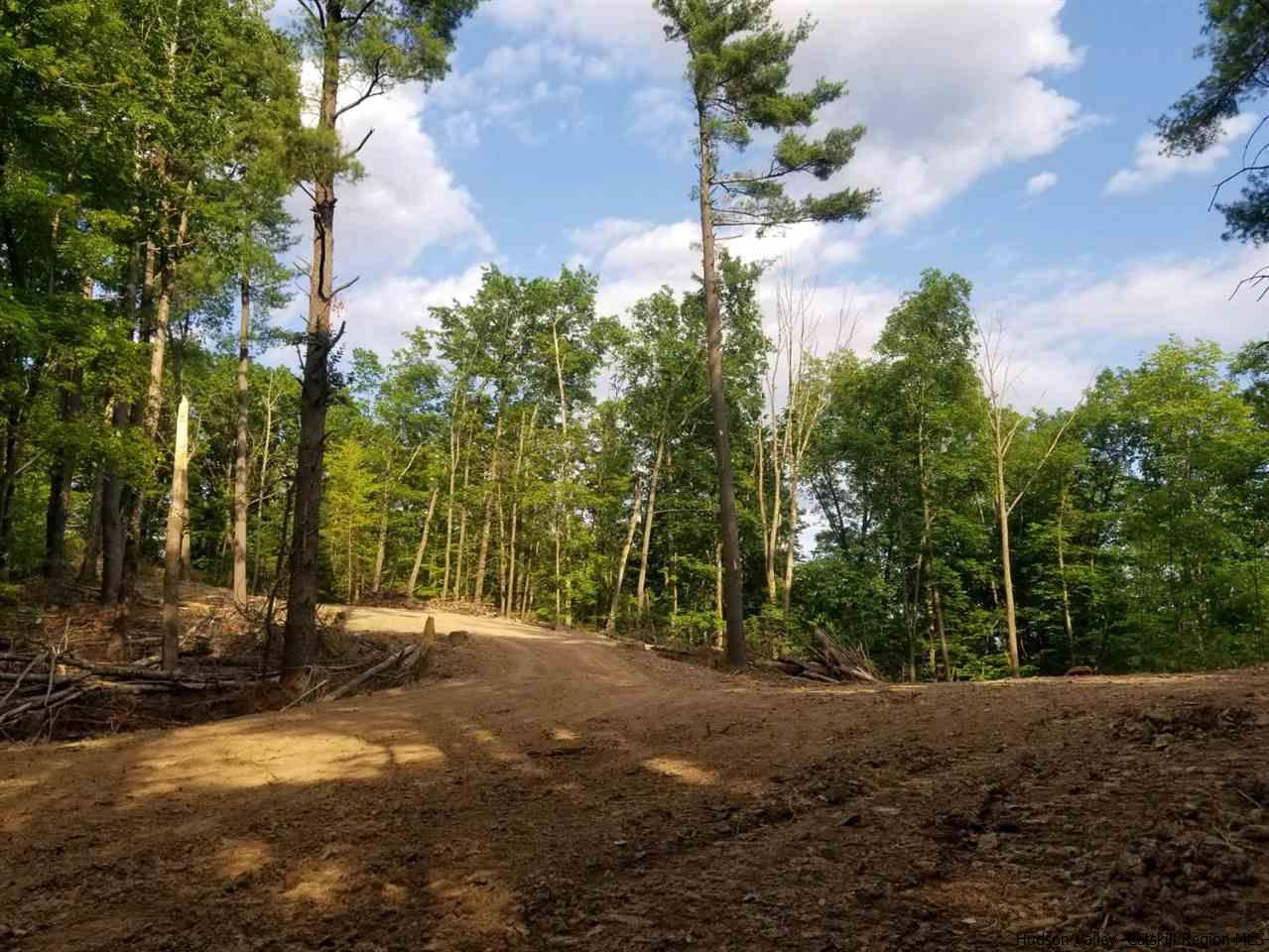 Tbd Turkey Hill Road Kerhonkson, NY 12446 - Photo 5 of 31 Photo 5