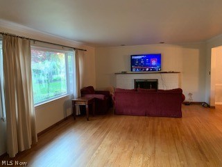 291 Glenview Road Canfield, OH 44406 - Photo 5 of 22 Gallery Image 5