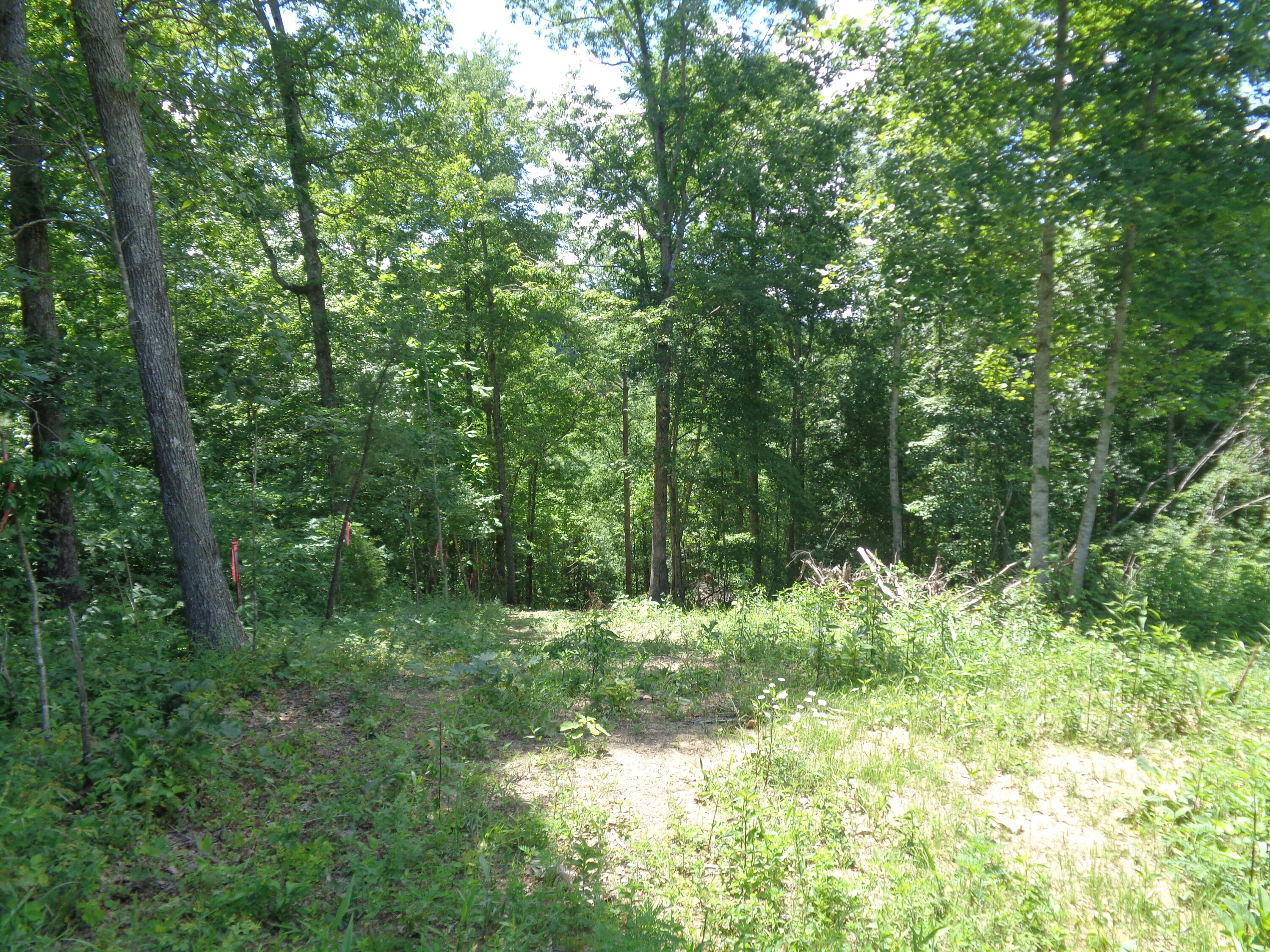 Lot 2 Fount Hubbard Road London, KY 40741 - Photo 25 of 31 DSC04882