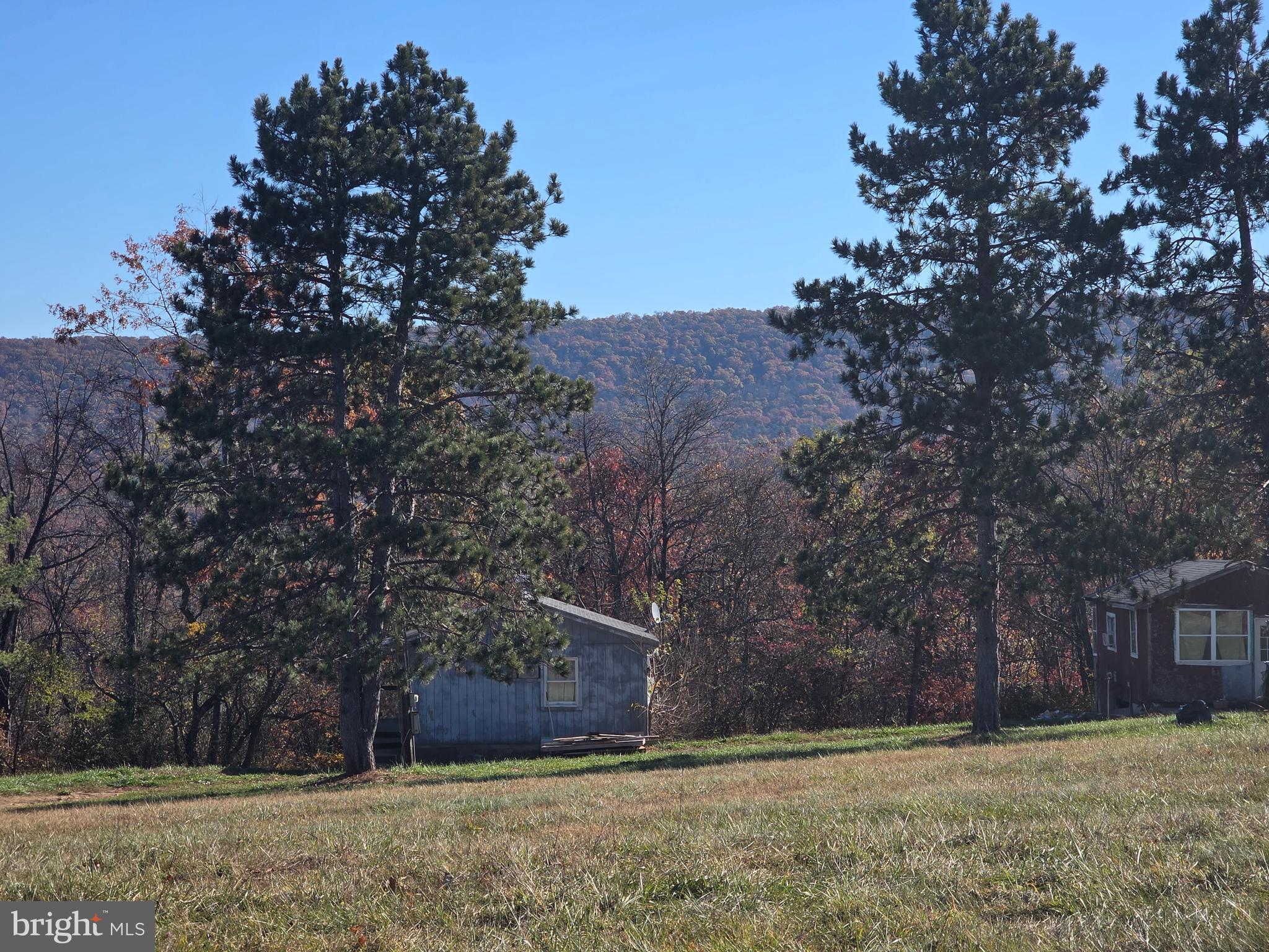 a view of a yard with a tree