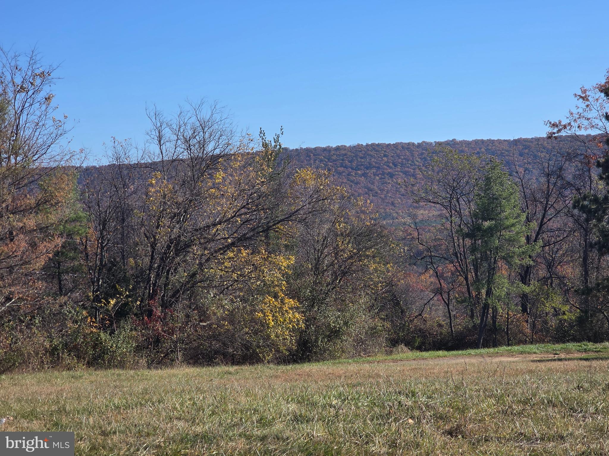 9575 Winchester Grade Road Berkeley Springs, WV 25411 - Photo 7 of 10 a view of a dry yard