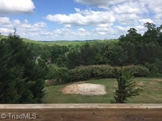 2576 Peppertree Ridge Road Randleman, NC 27317 - Photo 6 of 22 Deck View