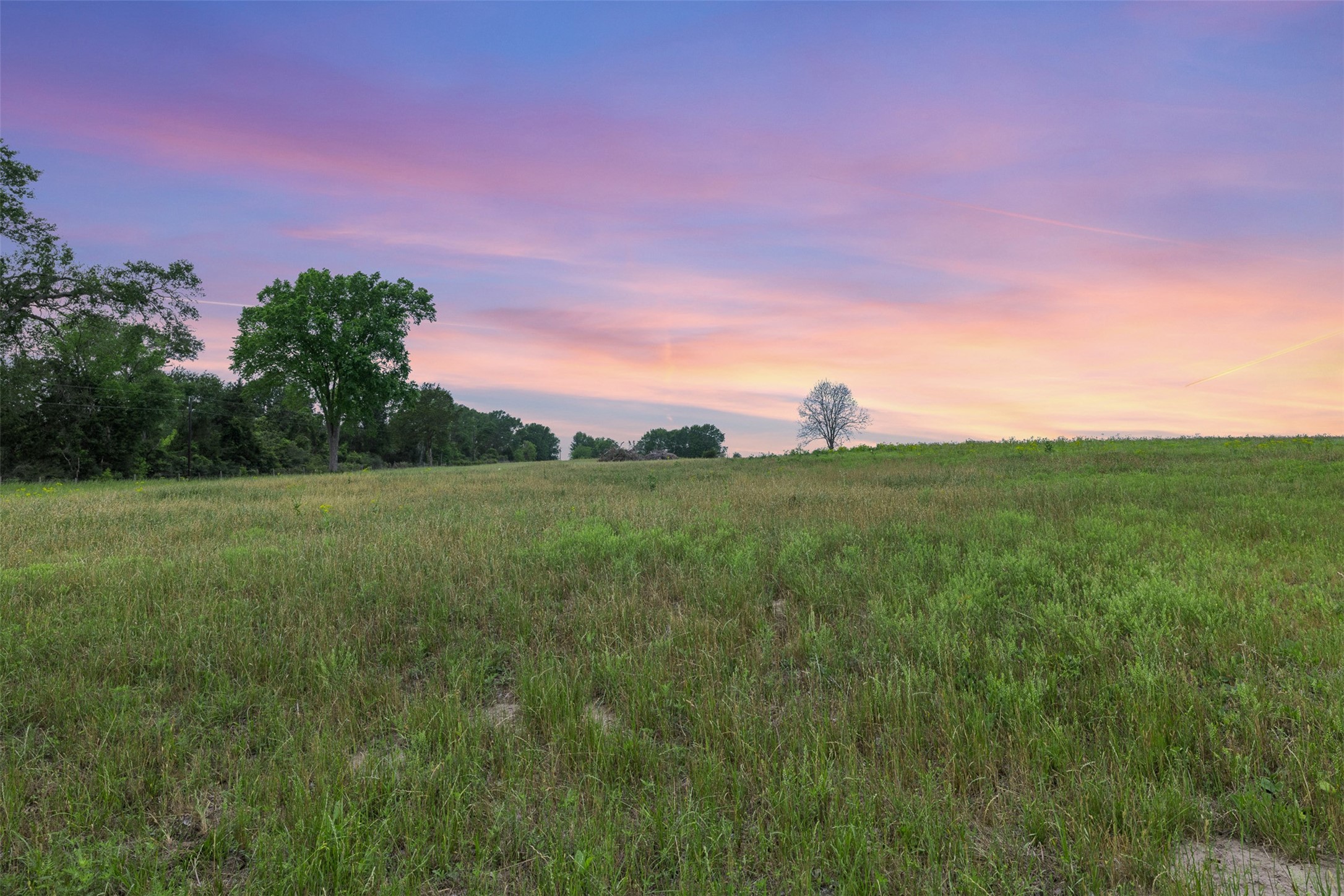 11401 Schaffner Road Sealy, TX 77474 - Photo 2 of 47