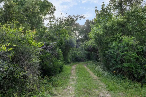 $695,000 | 11401 Schaffner Road, Sealy, TX 77474