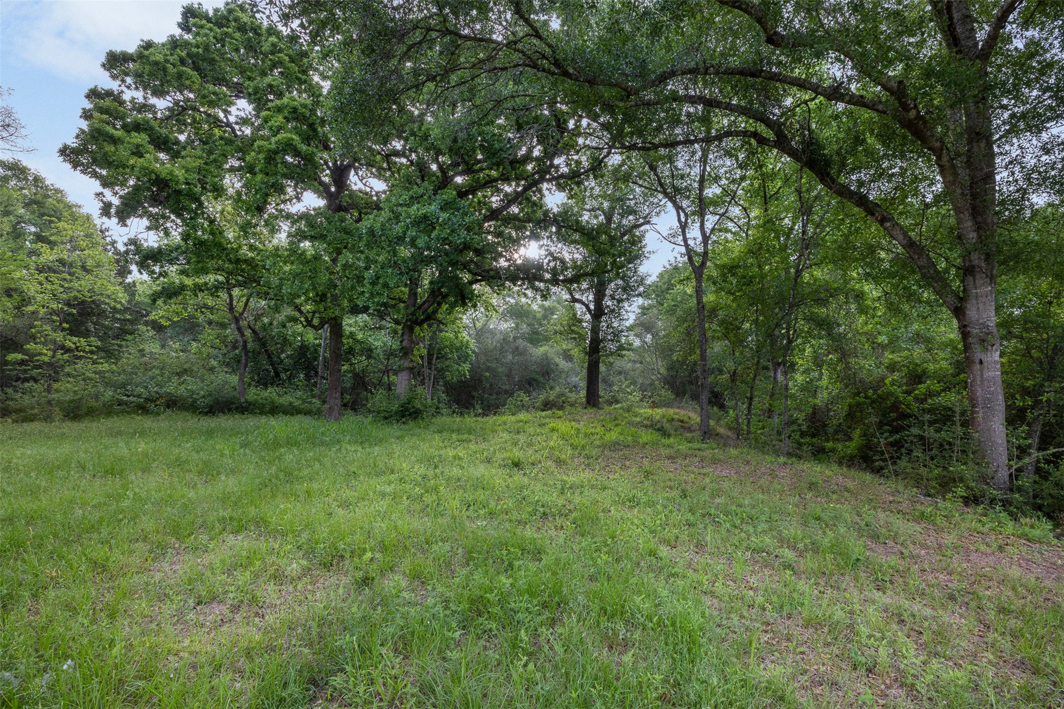 11401 Schaffner Road Sealy, TX 77474 - Photo 22 of 47