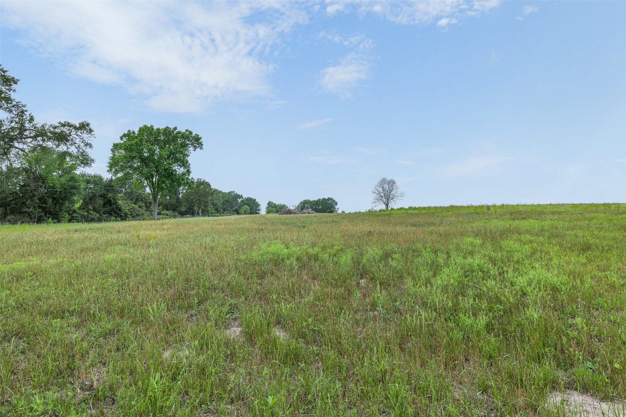 11401 Schaffner Road Sealy, TX 77474 - Photo 23 of 47