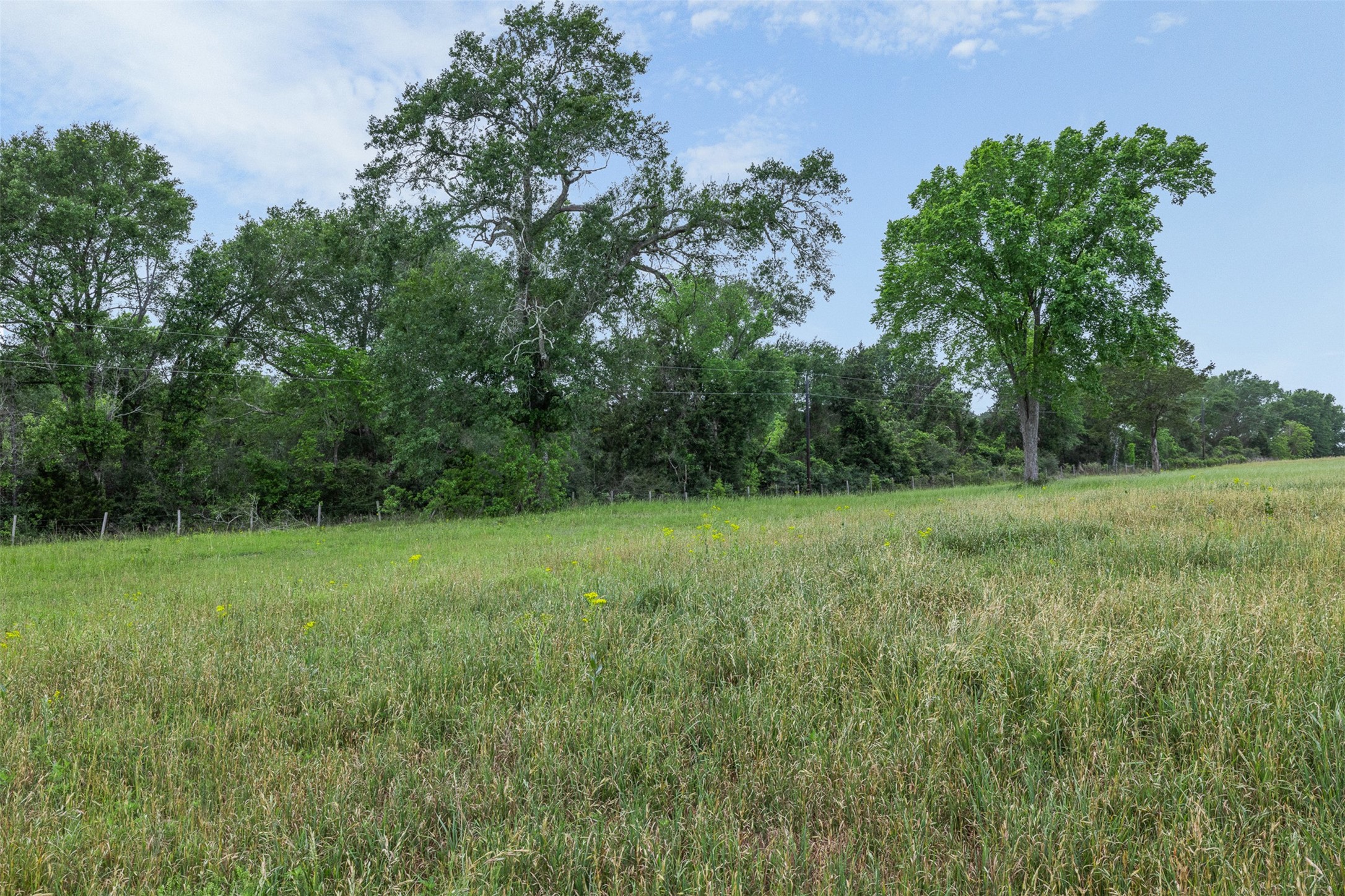 11401 Schaffner Road Sealy, TX 77474 - Photo 24 of 47