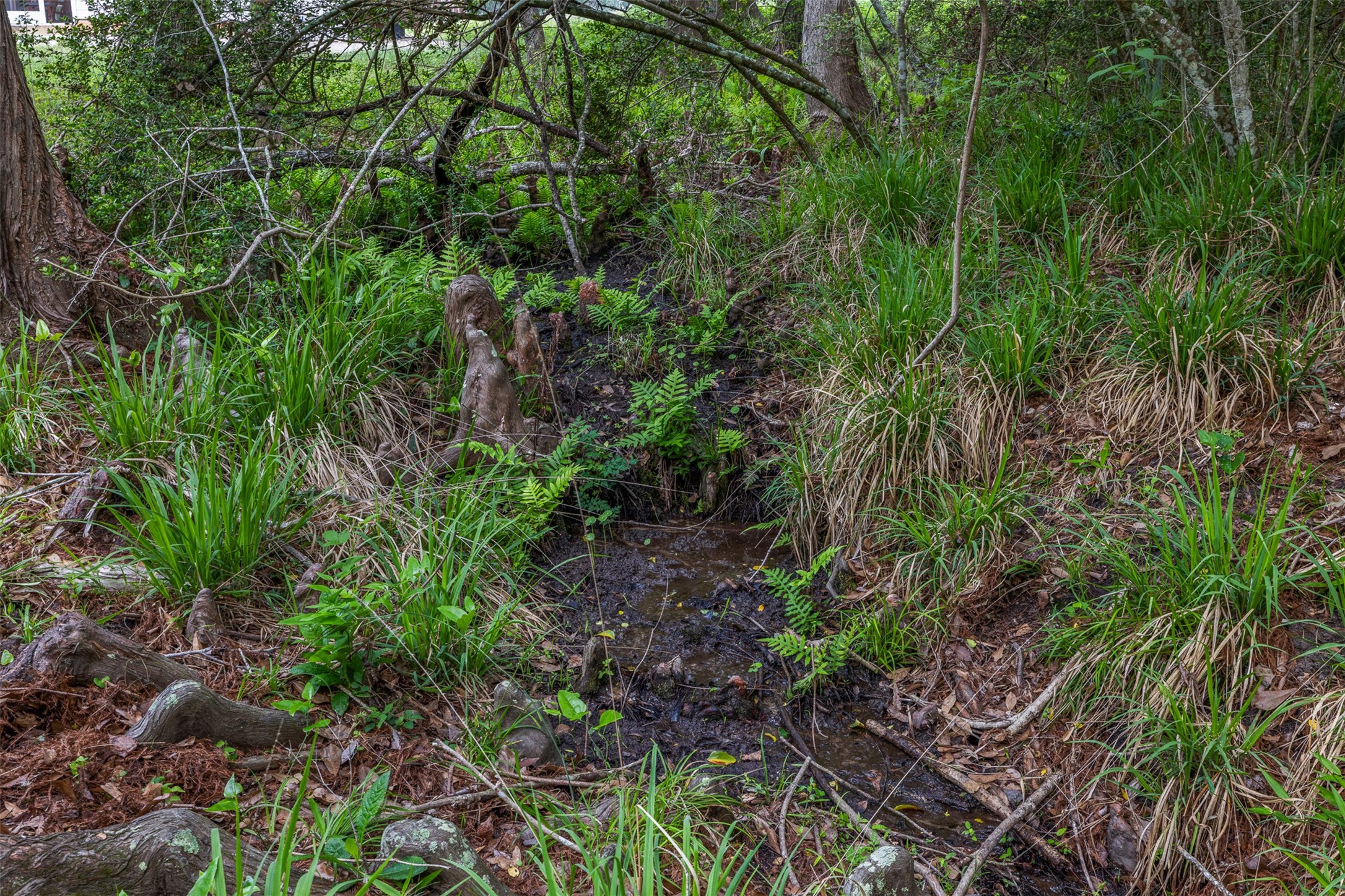 11401 Schaffner Road Sealy, TX 77474 - Photo 26 of 47