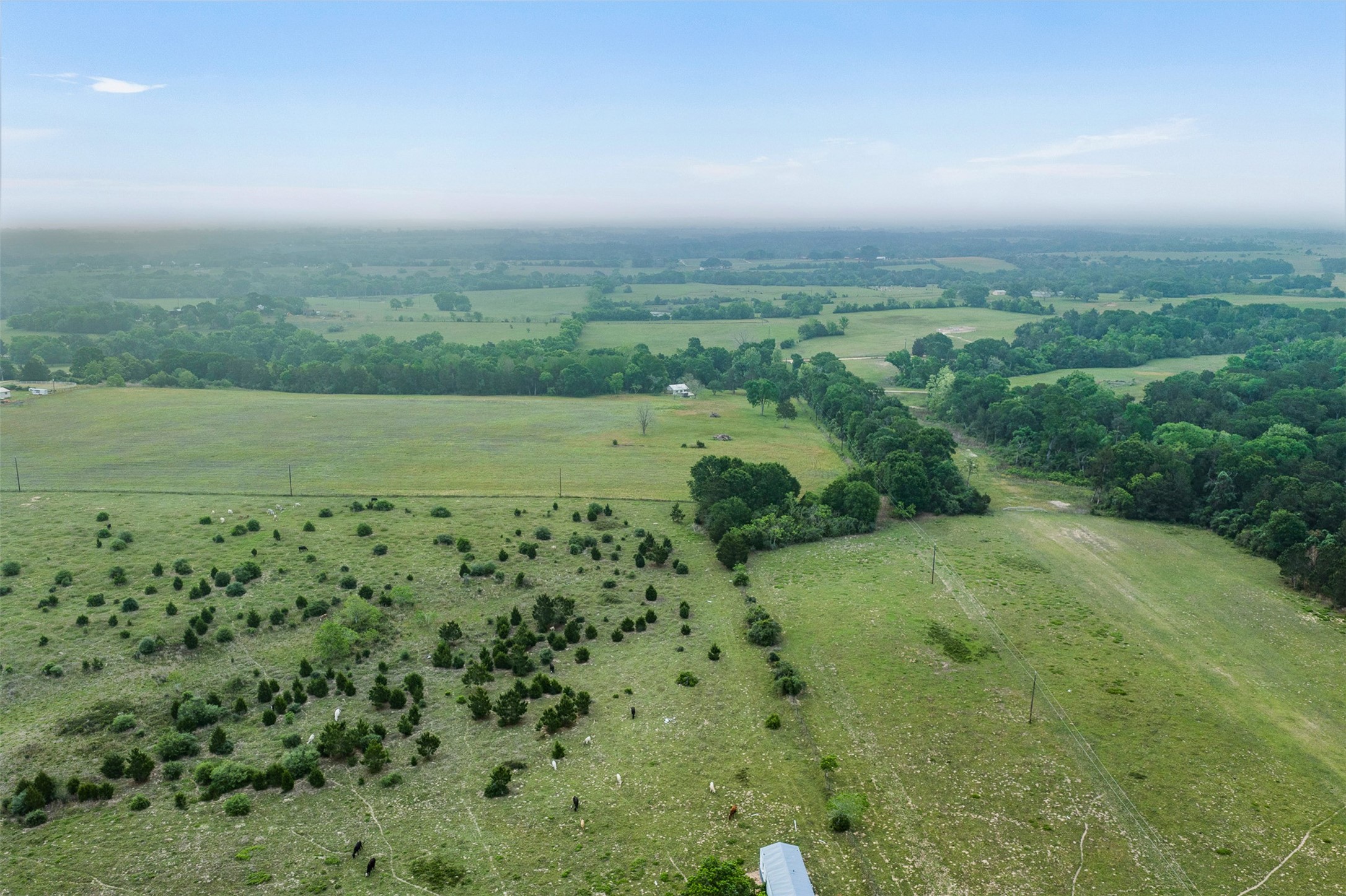 11401 Schaffner Road Sealy, TX 77474 - Photo 29 of 47