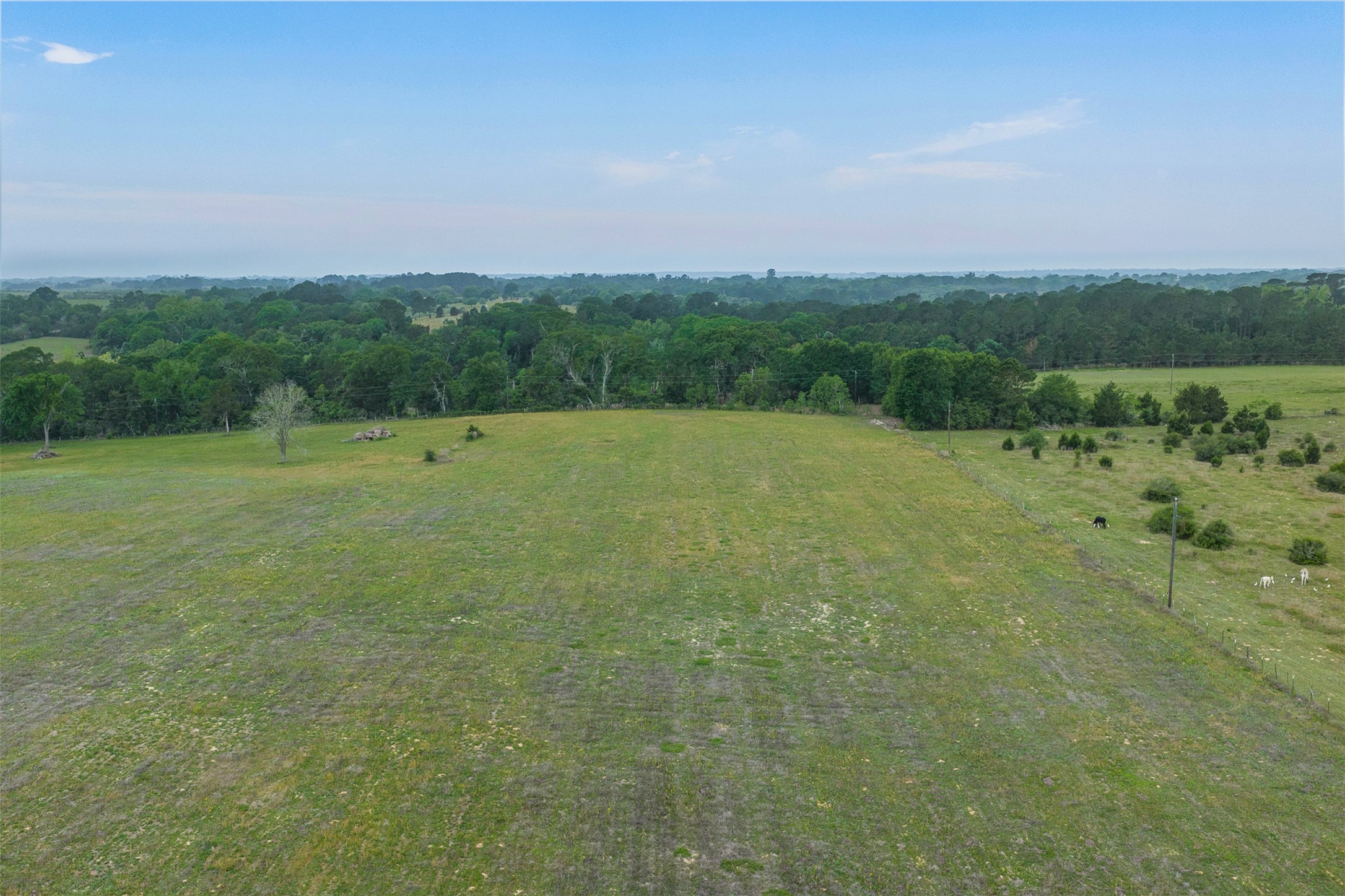 11401 Schaffner Road Sealy, TX 77474 - Photo 31 of 47