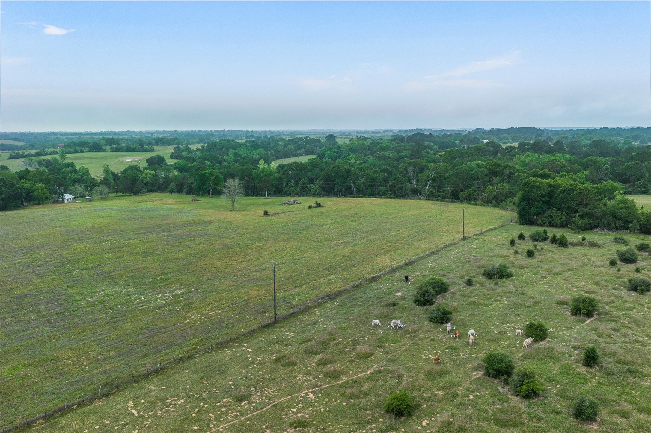 11401 Schaffner Road Sealy, TX 77474 - Photo 32 of 47