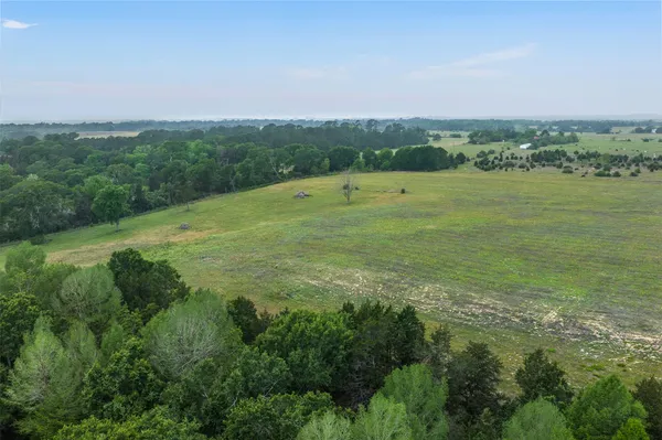 $695,000 | 11401 Schaffner Road, Sealy, TX 77474