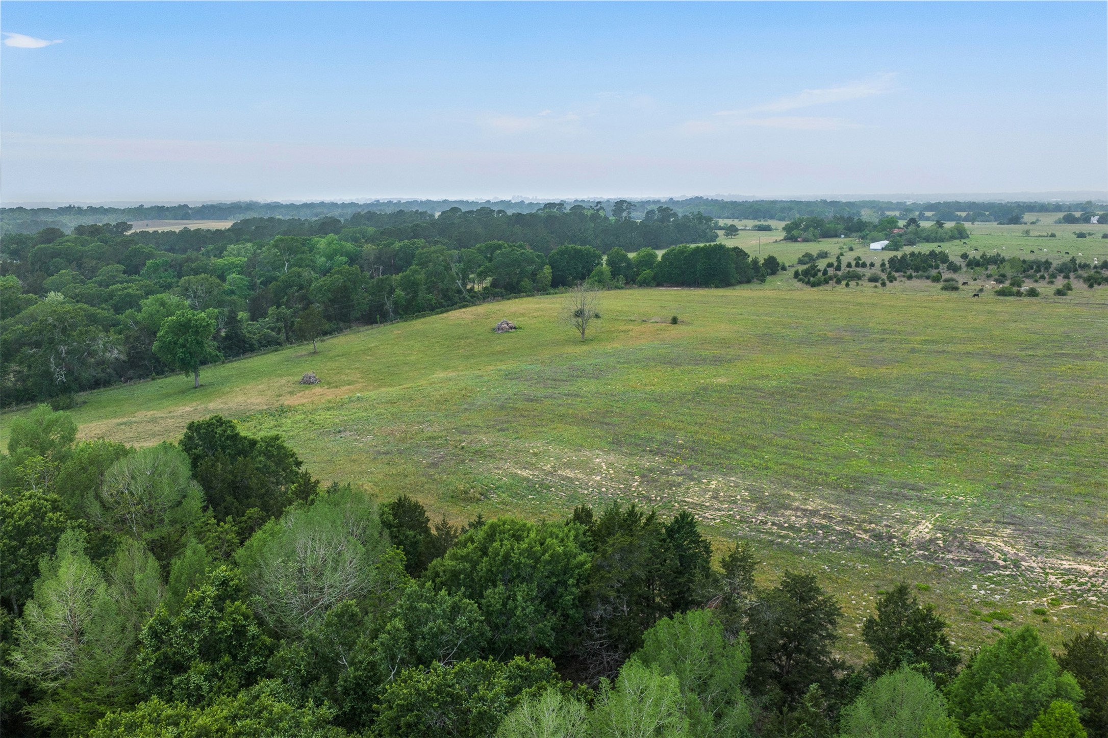 11401 Schaffner Road Sealy, TX 77474 - Photo 41 of 47
