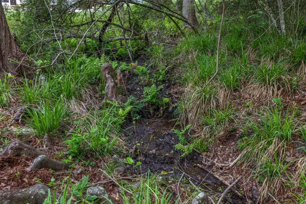 $695,000 | 11401 Schaffner Road, Sealy, TX 77474