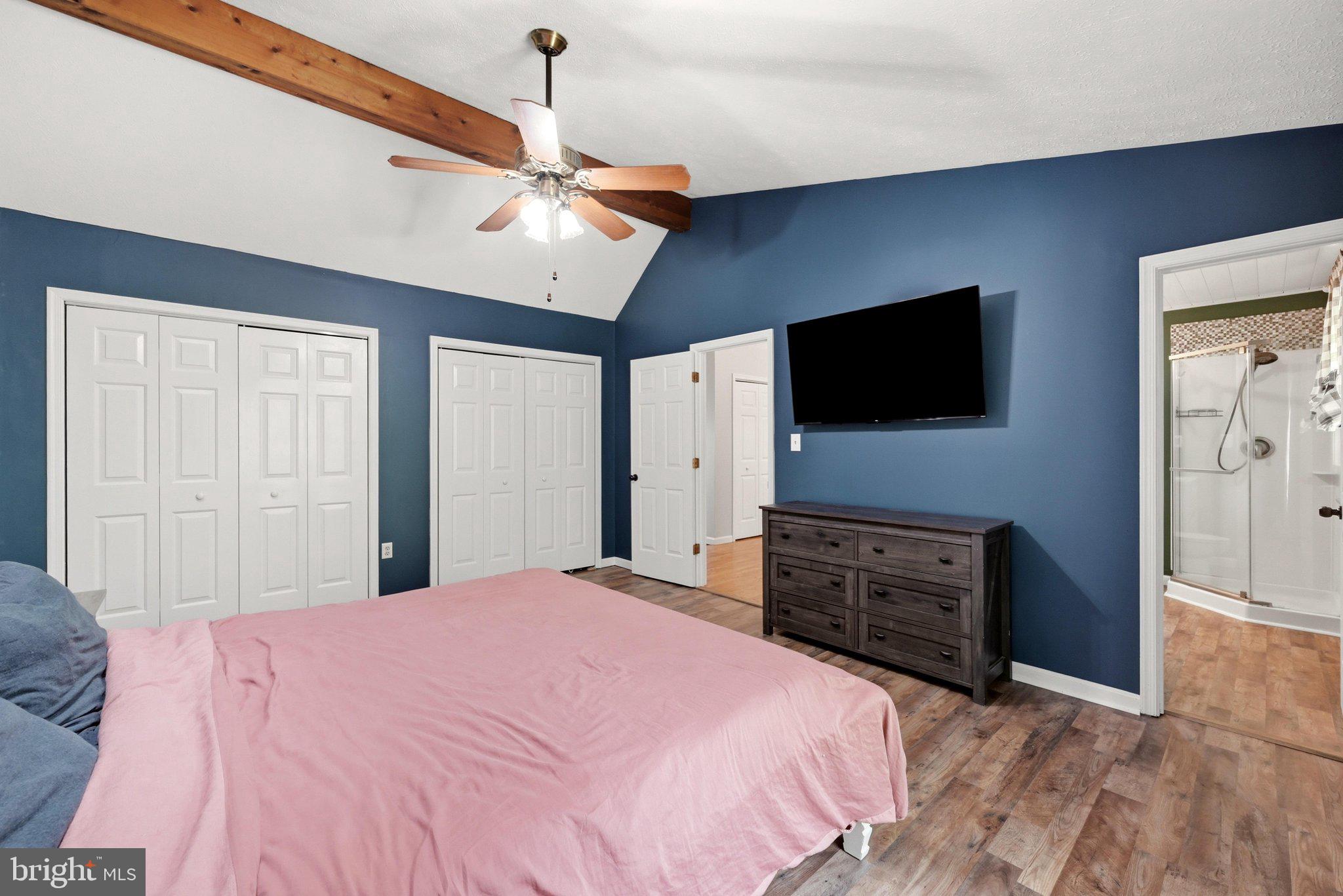 150 Holiday Road Cross Junction, VA 22625 - Photo 41 of 97 Double closets, LVP floors, skylight & ceiling fan