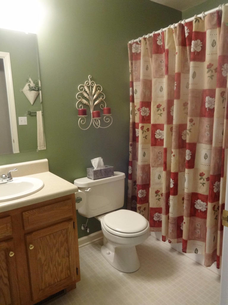 1732 Meadows Road Vinton, VA 24179 - Photo 11 of 32 a bathroom with a sink a toilet and a shower