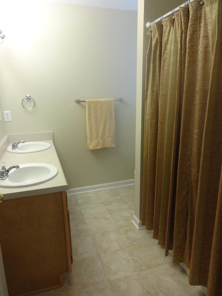 1732 Meadows Road Vinton, VA 24179 - Photo 26 of 32 a bathroom with a sink and a mirror