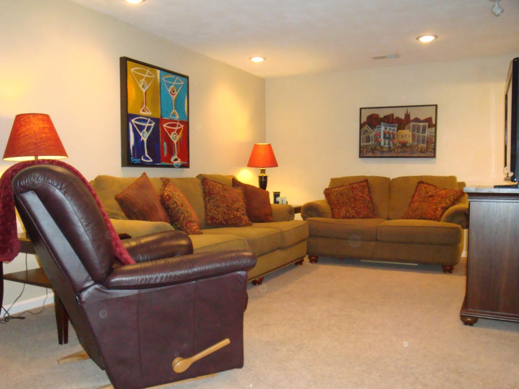 1732 Meadows Road Vinton, VA 24179 - Photo 30 of 32 a living room with furniture and a couch