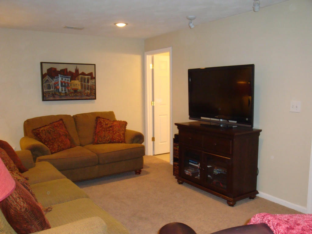 1732 Meadows Road Vinton, VA 24179 - Photo 31 of 32 a living room with furniture and a flat screen tv