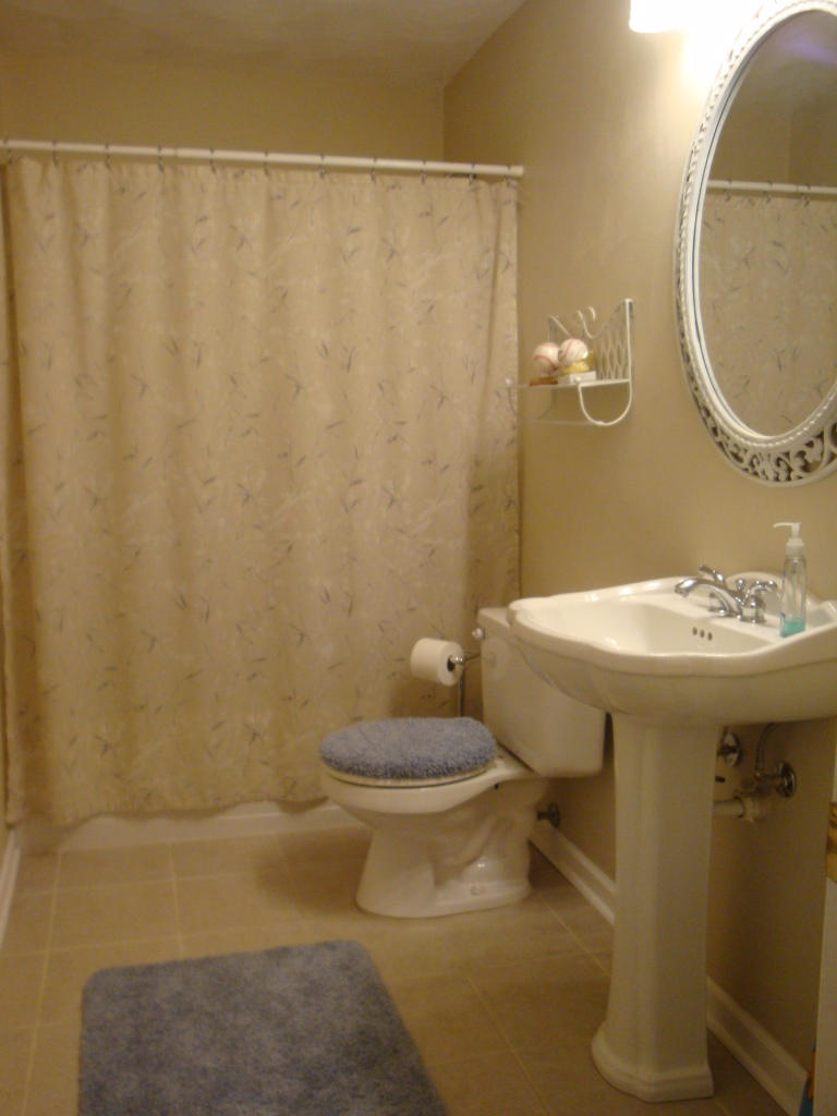 1732 Meadows Road Vinton, VA 24179 - Photo 32 of 32 a bathroom with a sink a toilet and a mirror