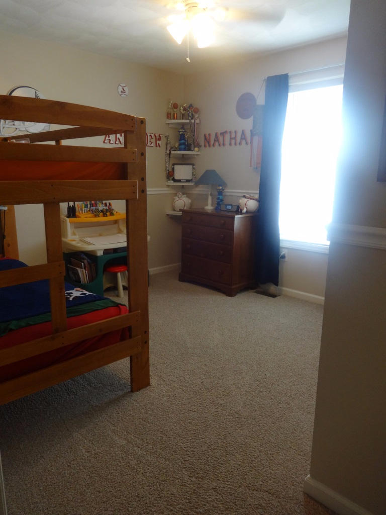 1732 Meadows Road Vinton, VA 24179 - Photo 5 of 32 a room with window and a fireplace