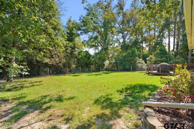 a view of a garden with plants and large trees