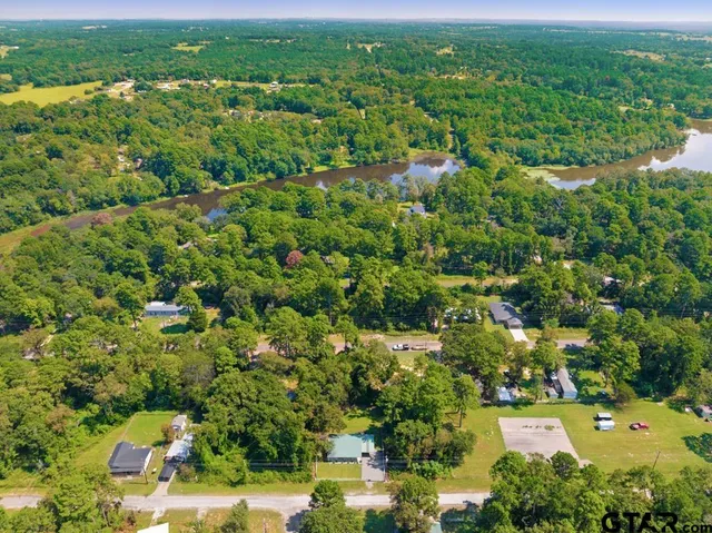 an aerial view of residential houses with outdoor space and trees