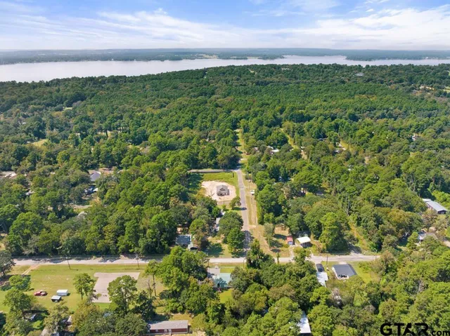 a view of a lake with a city