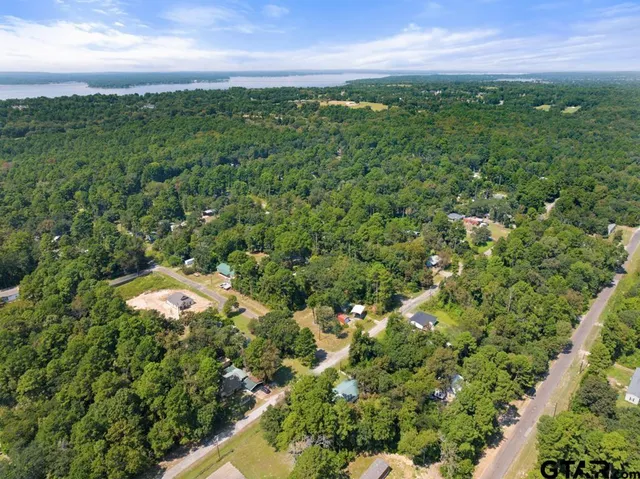 a view of a bunch of trees