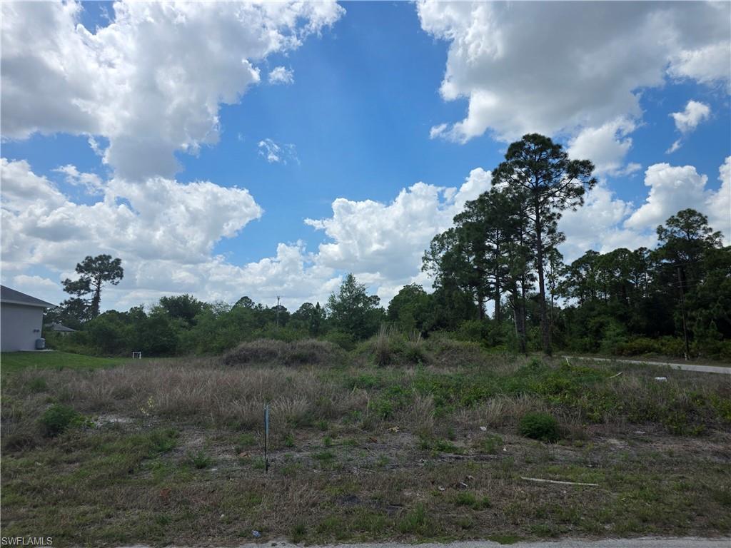 304 Lenz Avenue Lehigh Acres, FL 33974 - Photo 2 of 4