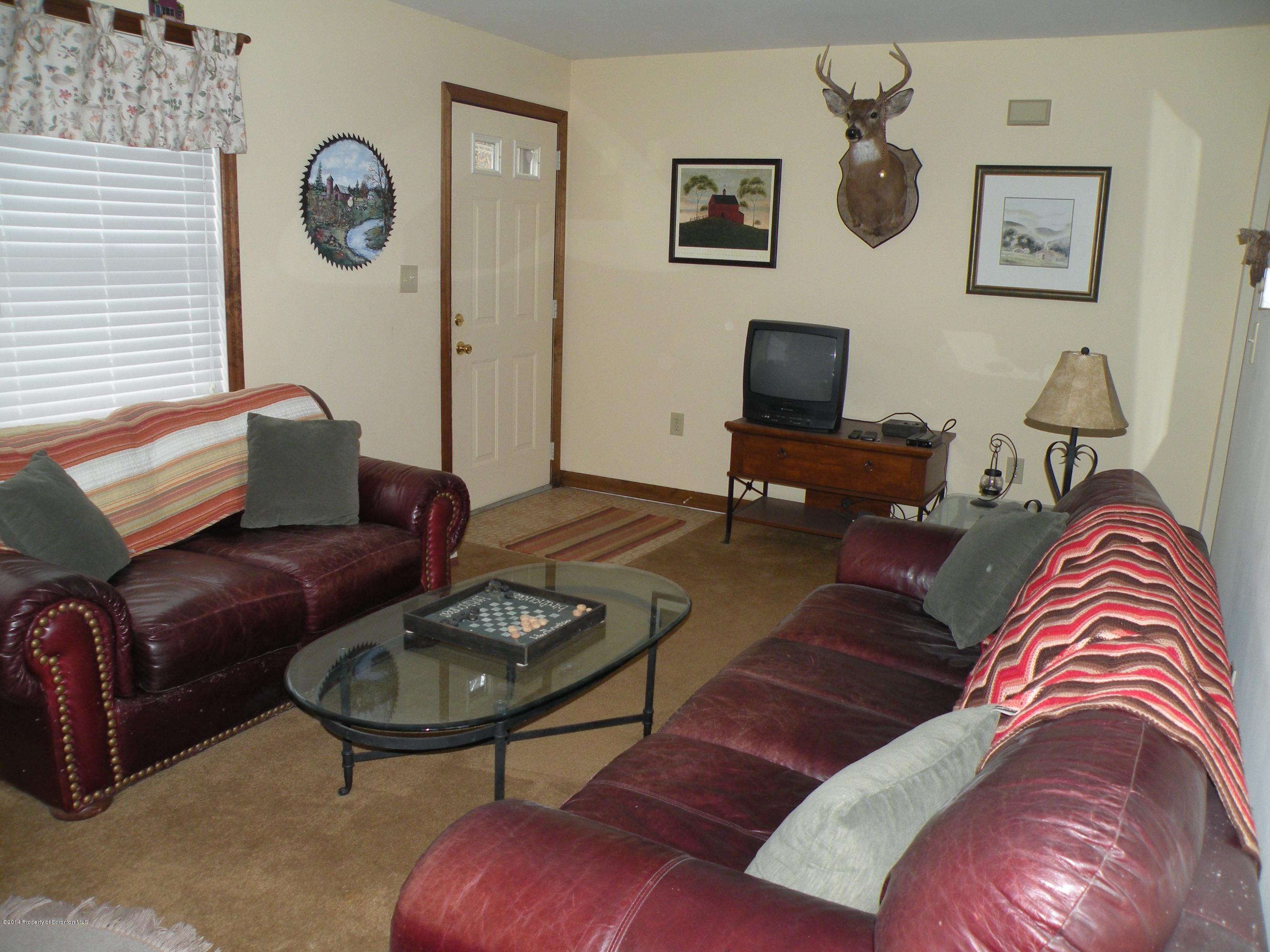 3381 Le Raysville Road Rome, PA 18837 - Photo 10 of 30 a living room with furniture and a rug