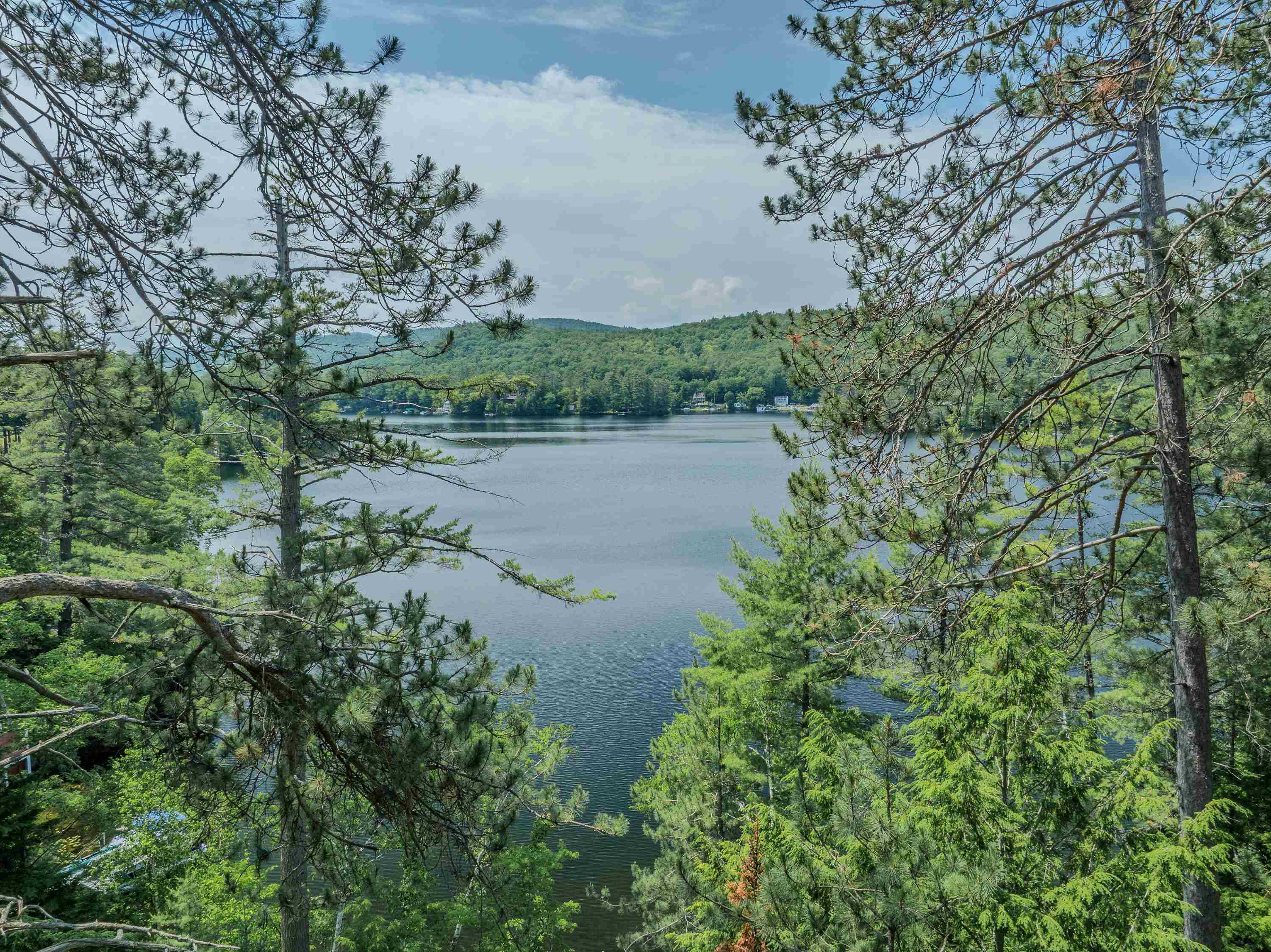 425 Partridge Lake Road Littleton, NH 03561 - Photo 5 of 39