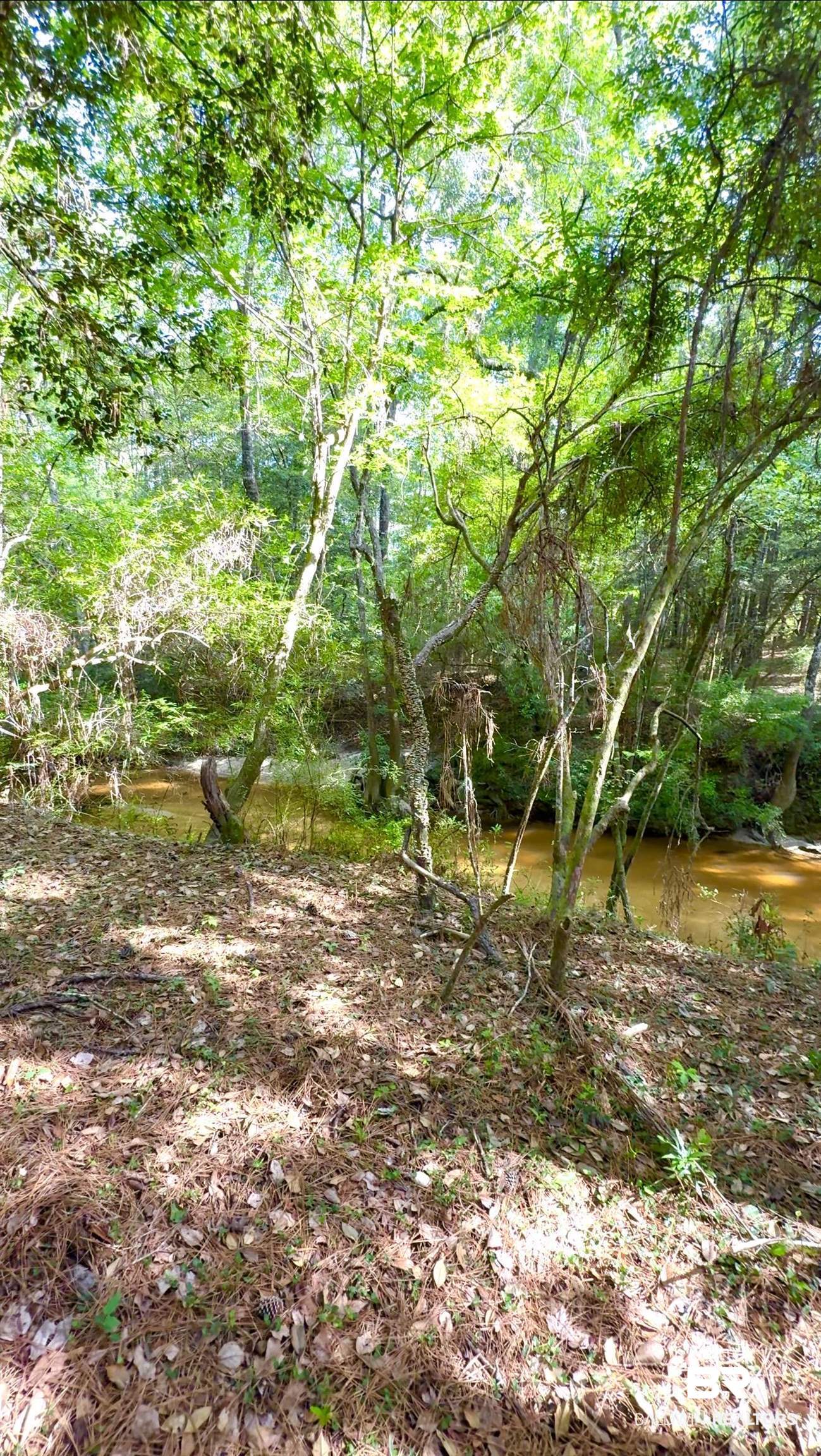 1 Mason Ferry Road Citronelle, AL 36522 - Photo 36 of 40 Natural wooded landscape featuring a winding creek