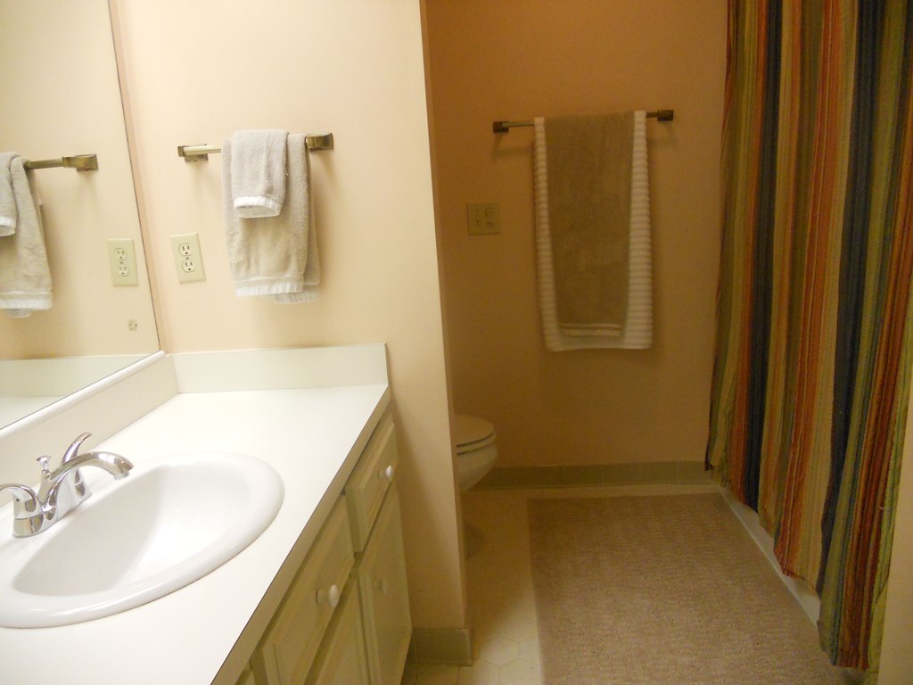 3704 Fortson Road Fortson, GA 31808 - Photo 18 of 28 Hall Bath
