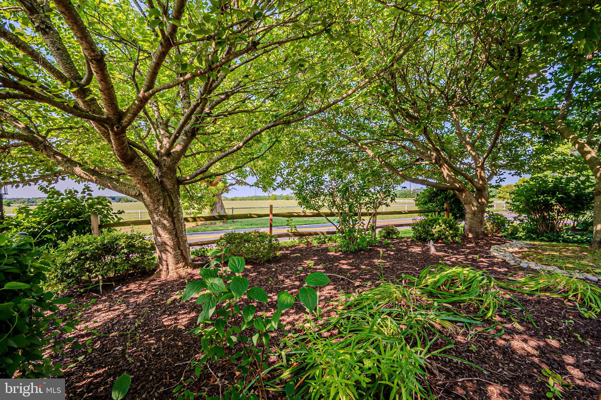 1063 Bayview Road Middletown, DE 19709 - Photo 39 of 40 Beautifully Landscaped Gardens