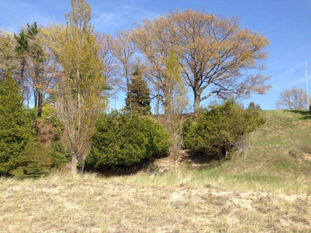 2626 Red Apple Road Manistee, MI 49660 - Photo 6 of 10 View of Lot Looking East from protective