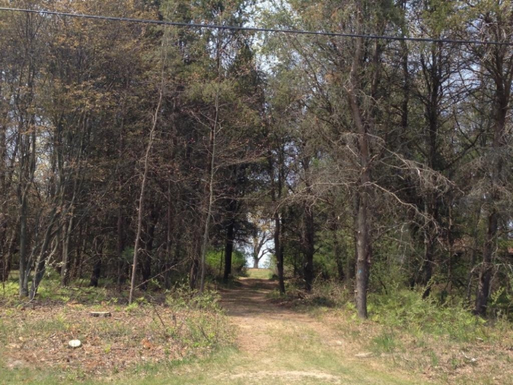 2626 Red Apple Road Manistee, MI 49660 - Photo 8 of 10 Roadside Looking West at Entry to Lot 25